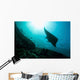 Manta Ray Swims through Wall Decal Design 1