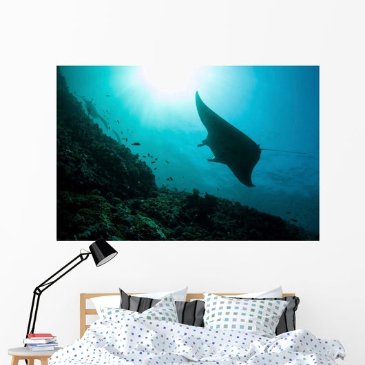 Manta Ray Swims through Wall Decal Design 1