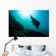 Manta Ray Swims through Wall Decal Design 1