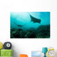 Manta Rays Swims through Wall Decal Design 4