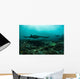 Manta Rays Swims through Wall Decal Design 3