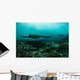 Manta Rays Swims through Wall Decal Design 3