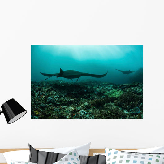 Manta Rays Swims through Wall Decal Design 3