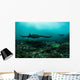 Manta Rays Swims through Wall Decal Design 3
