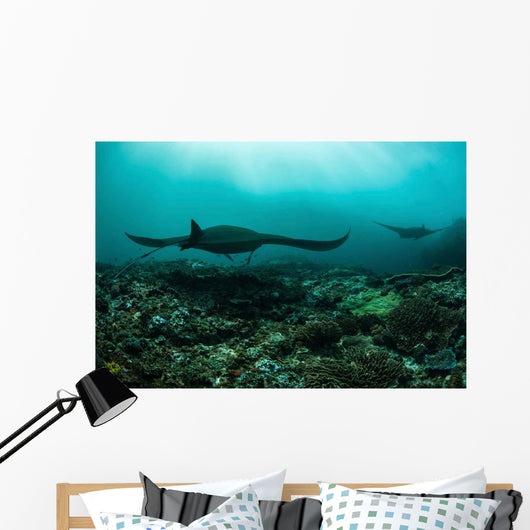 Manta Rays Swims through Wall Decal Design 3