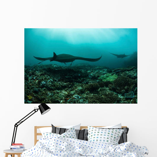 Manta Rays Swims through Wall Decal Design 3
