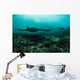 Manta Rays Swims through Wall Decal Design 3
