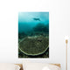 Manta Ray Swimming through Wall Decal