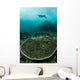 Manta Ray Swimming through Wall Decal