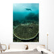 Manta Ray Swimming through Wall Decal