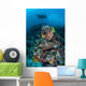 Manta Ray Swimming above Wall Decal Design 2
