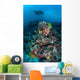Manta Ray Swimming above Wall Decal Design 2