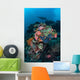 Manta Ray Swimming above Wall Decal Design 1