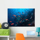 Colorful Pacific Creolefish Deep Wall Decal