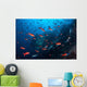 Colorful Pacific Creolefish Deep Wall Decal