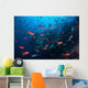 Colorful Pacific Creolefish Deep Wall Decal