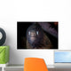White-eyed Moray Eel Searches Wall Decal