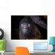 White-eyed Moray Eel Searches Wall Decal