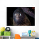 White-eyed Moray Eel Searches Wall Decal