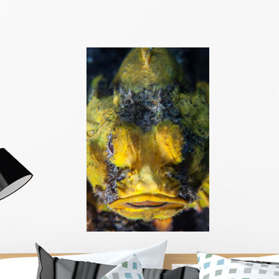 Unidentified Scorpionfish Mimics Yellow Wall Decal shown on a wall