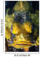 Unidentified Scorpionfish Mimics Yellow Wall Decal
