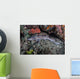 Coral Catshark Lays Seafloor Wall Decal Design 1