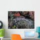 Coral Catshark Lays Seafloor Wall Decal Design 1