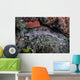 Coral Catshark Lays Seafloor Wall Decal Design 1