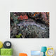 Coral Catshark Lays Seafloor Wall Decal Design 1