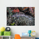 Coral Catshark Lays Seafloor Wall Decal Design 1