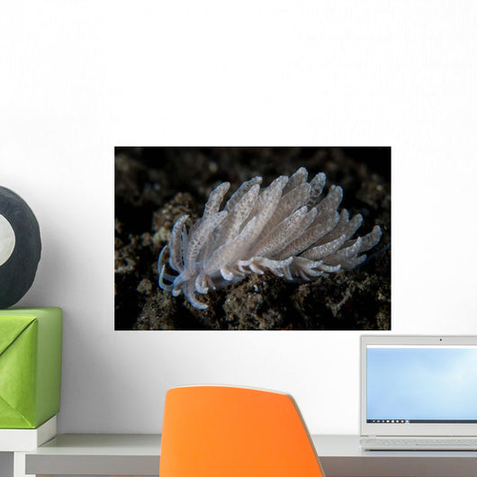 Small Solar-powered Nudibranch Seafloor Wall Decal