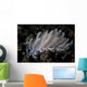 Small Solar-powered Nudibranch Seafloor Wall Decal