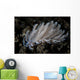 Small Solar-powered Nudibranch Seafloor Wall Decal