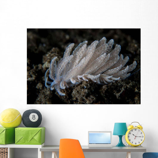 Small Solar-powered Nudibranch Seafloor Wall Decal