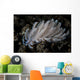 Small Solar-powered Nudibranch Seafloor Wall Decal