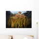 Colorful Lily Pads and Wall Decal