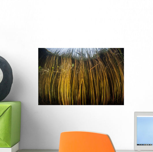 Colorful Reeds Grow to Wall Decal Design 2