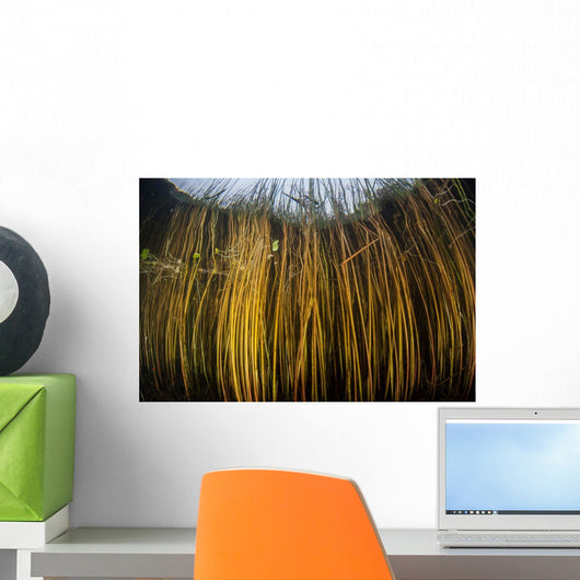 Colorful Reeds Grow to Wall Decal Design 2