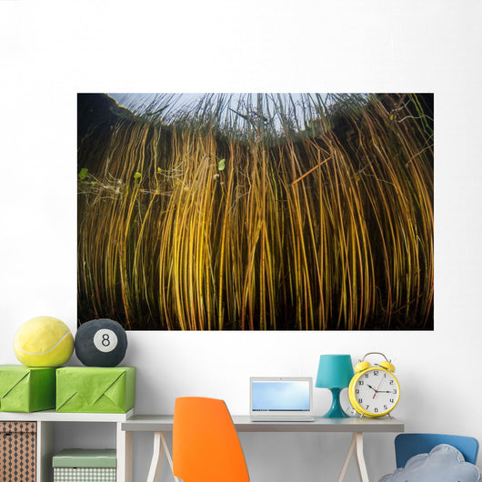 Colorful Reeds Grow to Wall Decal Design 2