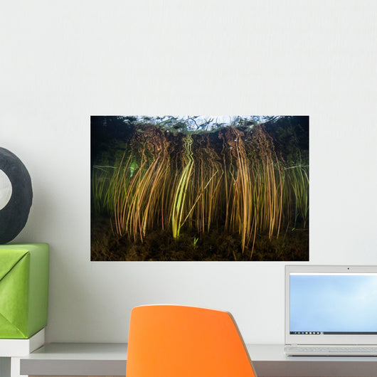 Colorful Reeds Grow to Wall Decal Design 1