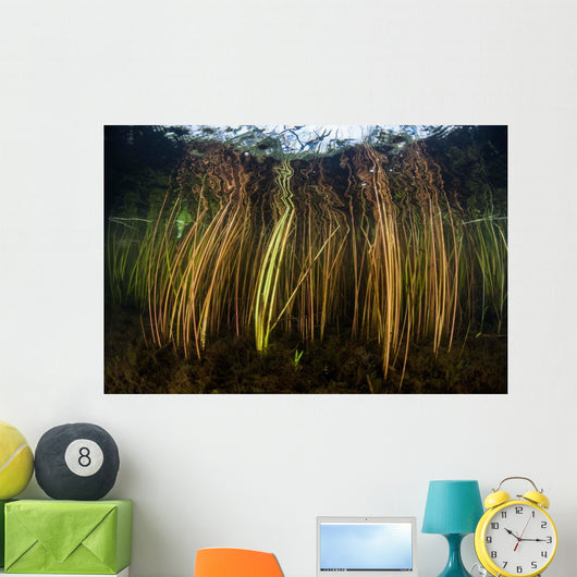 Colorful Reeds Grow to Wall Decal Design 1