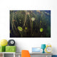 Young Lily Pads Grow Wall Decal Design 3