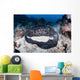 Large Black-blotched Stingray near Wall Decal Design 1