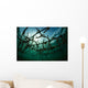Fast-growing Corals Being Grown Wall Decal Design 3