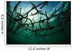 Fast-growing Corals Being Grown Wall Decal Design 3