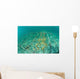 Fast-growing Corals Being Grown Wall Decal Design 2