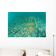 Fast-growing Corals Being Grown Wall Decal Design 2