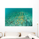 Fast-growing Corals Being Grown Wall Decal Design 2