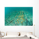 Fast-growing Corals Being Grown Wall Decal Design 2