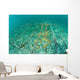 Fast-growing Corals Being Grown Wall Decal Design 2